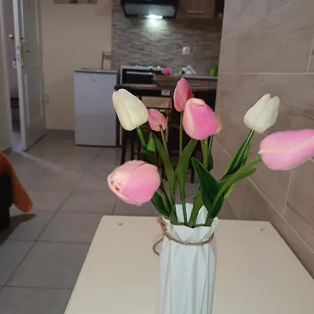 Appartement Chris - Corfu Alepou